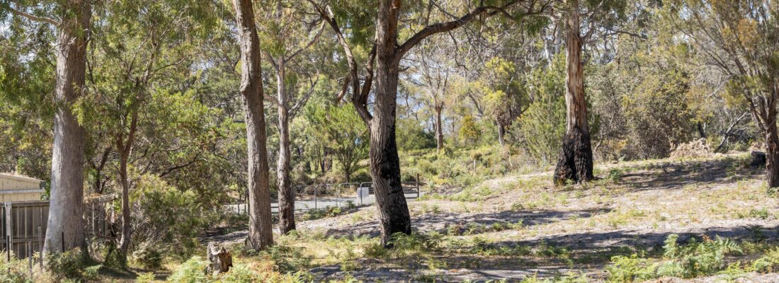 Vlad Gala Vlad Gala Fall Real Estate Vlad Gala