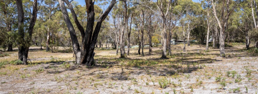 Vlad Gala Vlad Gala Fall Real Estate Vlad Gala