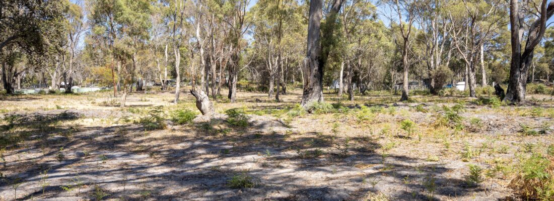 Vlad Gala Vlad Gala Fall Real Estate Vlad Gala