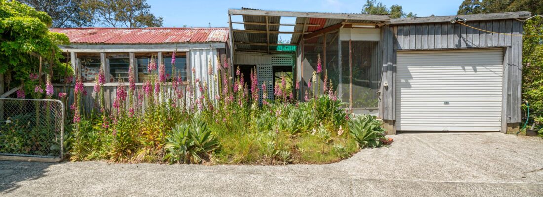 Peter Clark Peter Clark Fall Real Estate Peter Clark