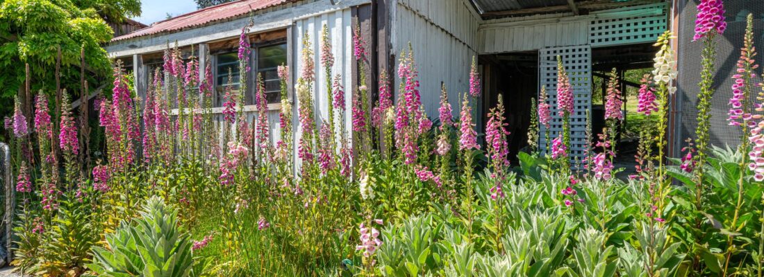 Peter Clark Peter Clark Fall Real Estate Peter Clark