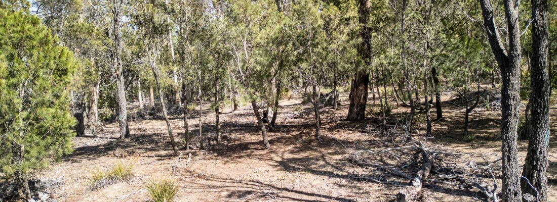 Jude Viney jude viney, bruny island property agent Fall Real Estate Jude Viney