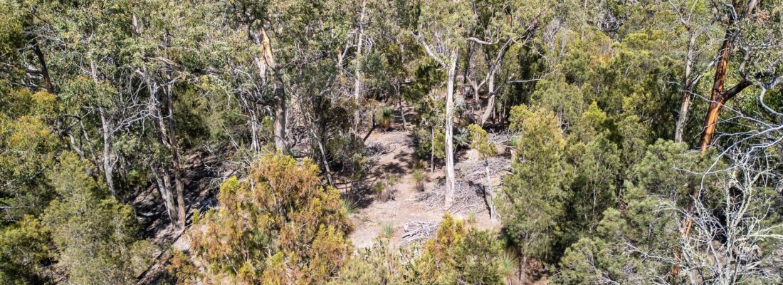 Jude Viney jude viney, bruny island property agent Fall Real Estate Jude Viney