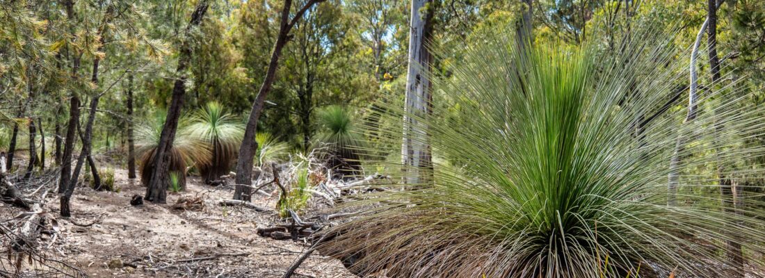 Jude Viney jude viney, bruny island property agent Fall Real Estate Jude Viney