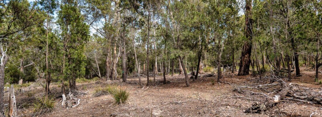 Jude Viney jude viney, bruny island property agent Fall Real Estate Jude Viney