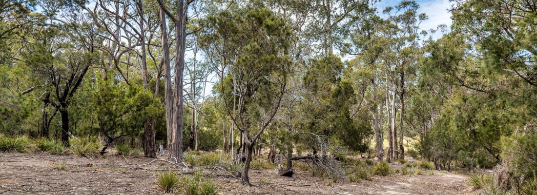 Fall Real Estate Jude Viney