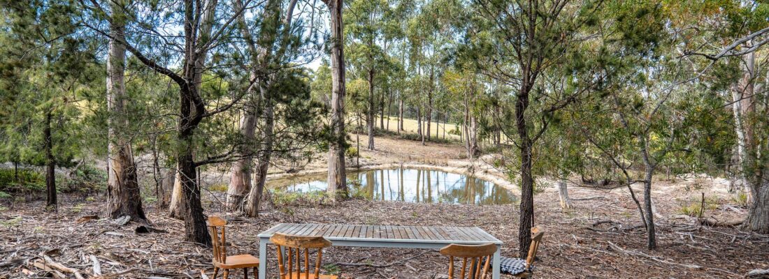 Fall Real Estate Jude Viney