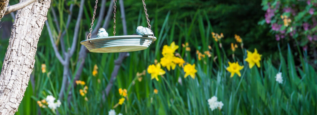 Chris Huxtable chris huxtable Fall Real Estate Chris Huxtable