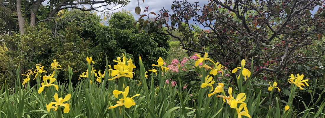 Fall Real Estate Chris Huxtable