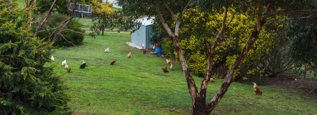 Sold Properties Sold Hobart Fall Real Estate Sold