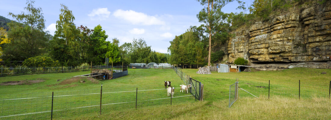 Fall Real Estate Sold