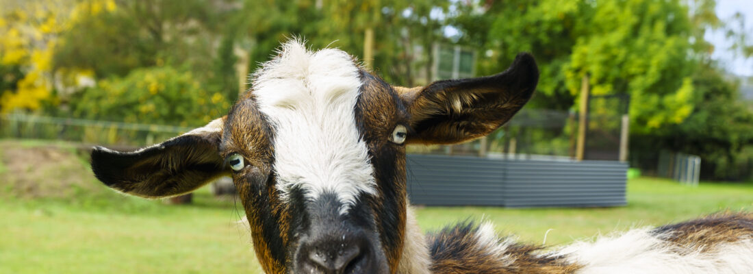 Sold Properties Sold Hobart Fall Real Estate Sold