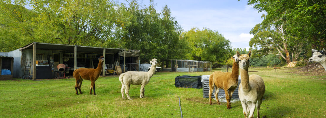 Sold Properties Sold Hobart Fall Real Estate Sold