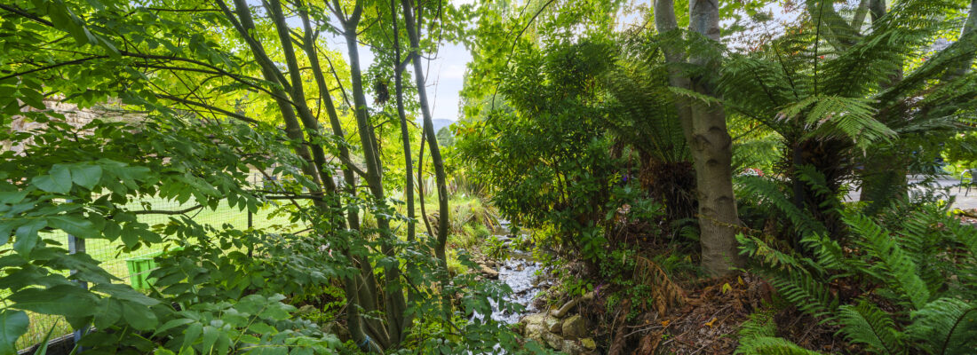 Sold Properties Sold Hobart Fall Real Estate Sold