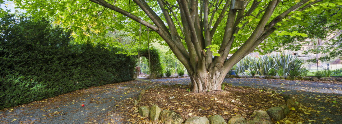 Fall Real Estate Sold