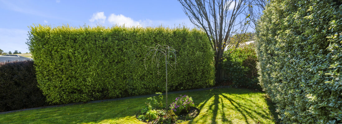 Sold Properties Sold Hobart Fall Real Estate Sold