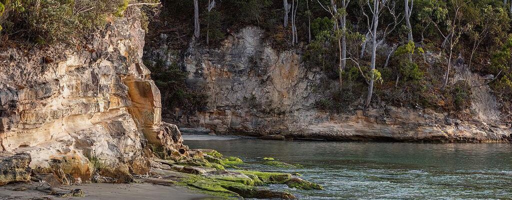 Fall Real Estate Jude Viney