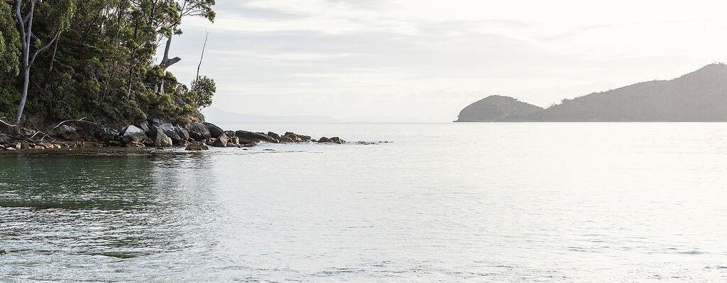 Fall Real Estate Jude Viney