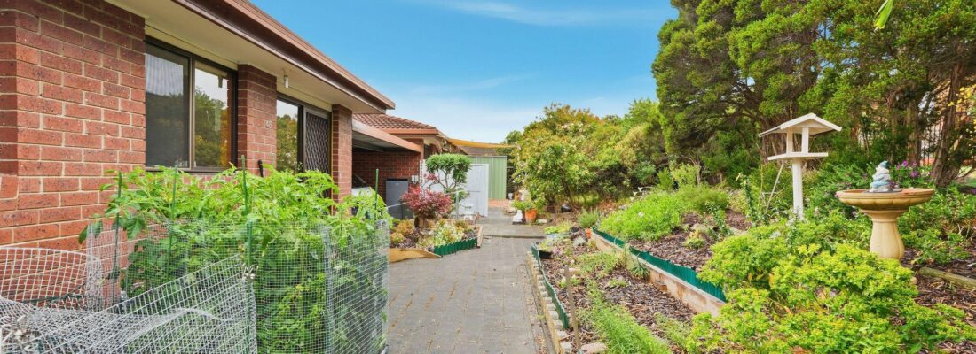 Sam Scarlett Sam Scarlett Fall Real Estate Sam Scarlett