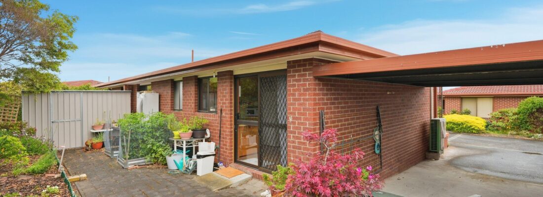 Sam Scarlett Sam Scarlett Fall Real Estate Sam Scarlett