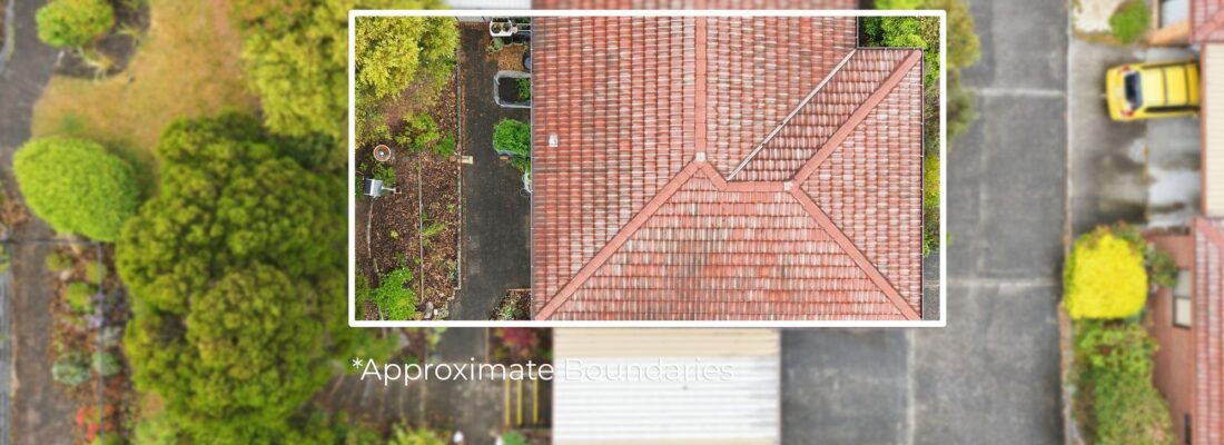 Sam Scarlett Sam Scarlett Fall Real Estate Sam Scarlett