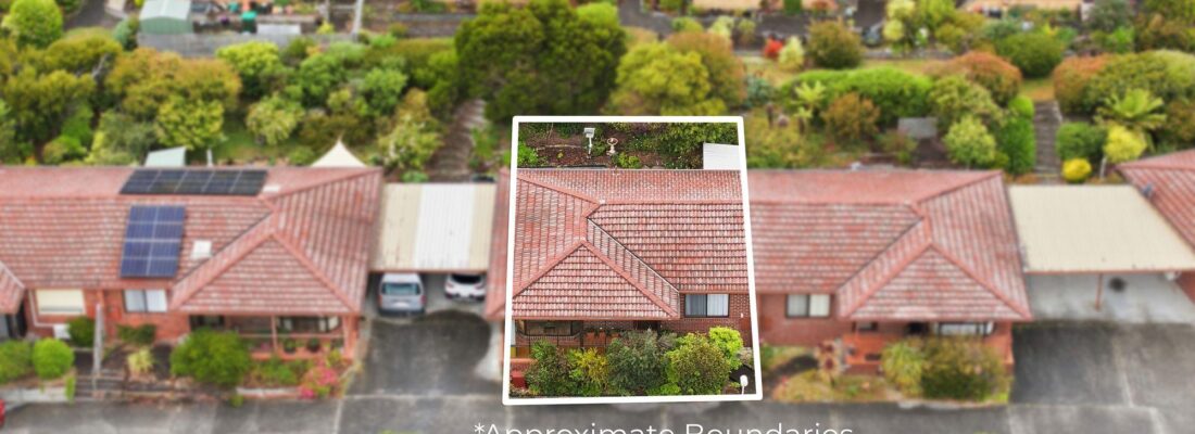 Sam Scarlett Sam Scarlett Fall Real Estate Sam Scarlett