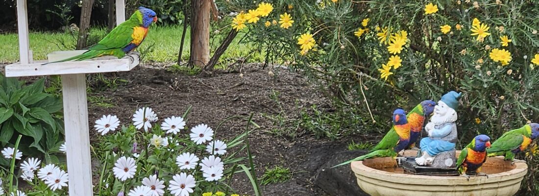 Sam Scarlett Sam Scarlett Fall Real Estate Sam Scarlett