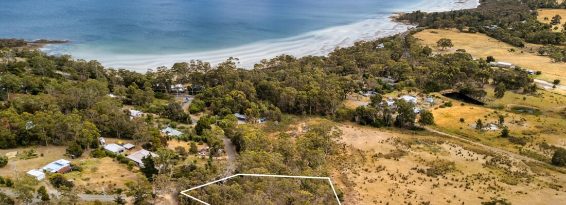 Fall Real Estate Jude Viney