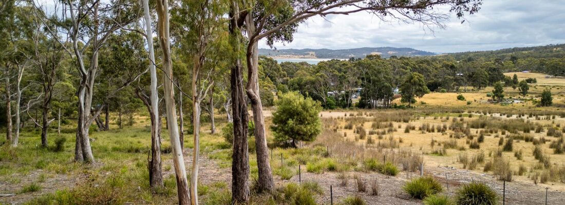 Jude Viney jude viney, bruny island property agent Fall Real Estate Jude Viney