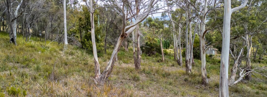 Jude Viney jude viney, bruny island property agent Fall Real Estate Jude Viney