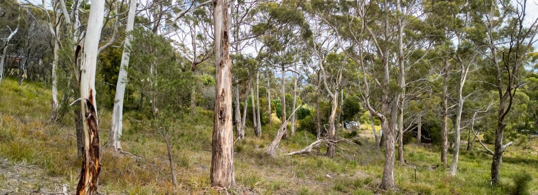 Jude Viney jude viney, bruny island property agent Fall Real Estate Jude Viney