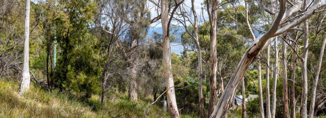 Jude Viney jude viney, bruny island property agent Fall Real Estate Jude Viney