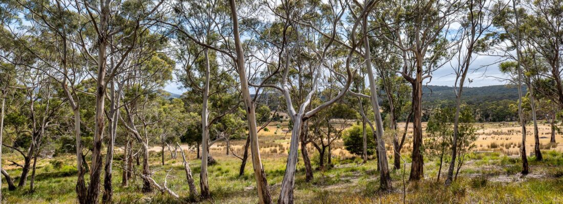 Fall Real Estate Jude Viney