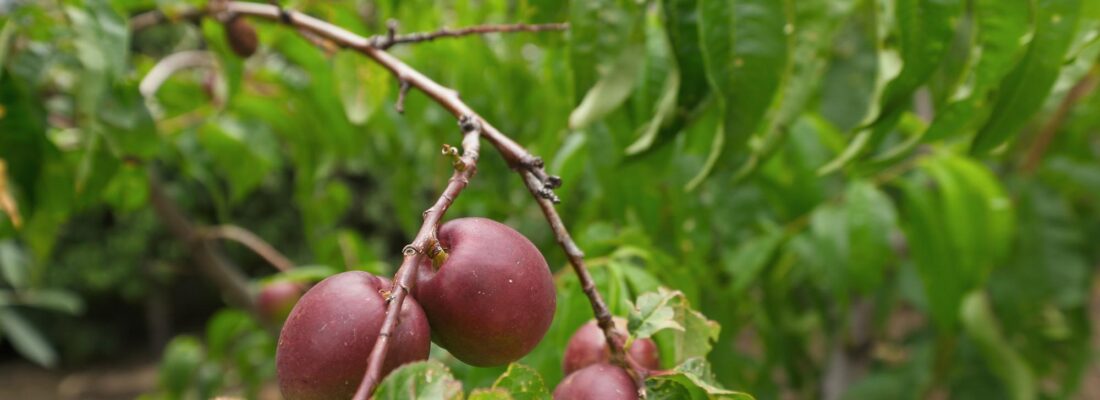 Fall Real Estate Jason Andrikonis