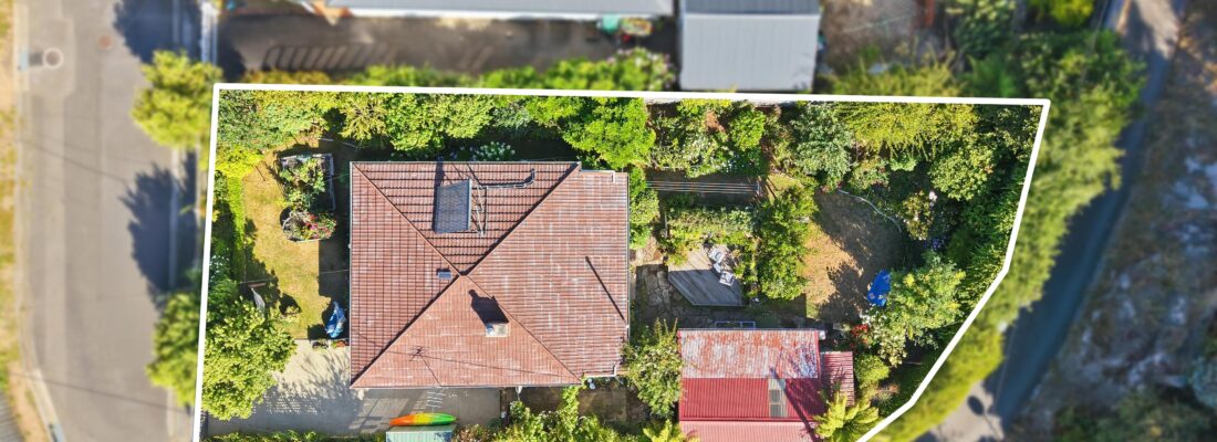 Sam Scarlett Sam Scarlett Fall Real Estate Sam Scarlett