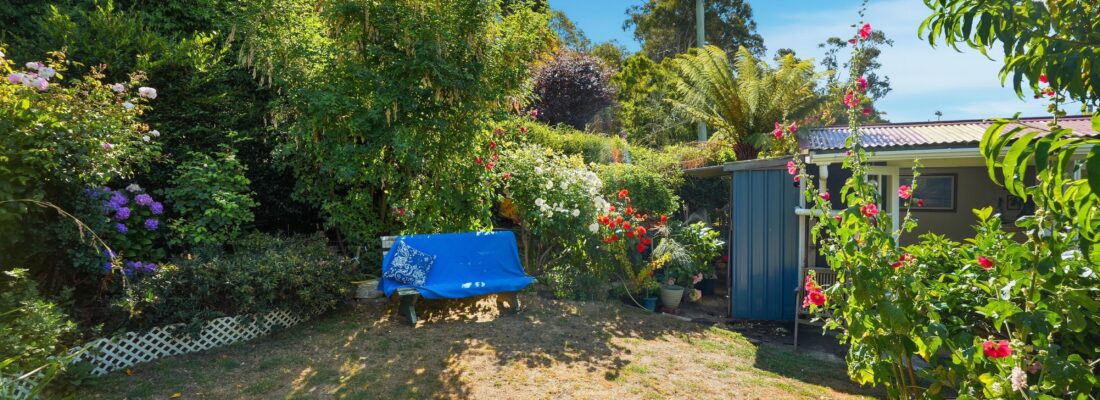 Sam Scarlett Sam Scarlett Fall Real Estate Sam Scarlett