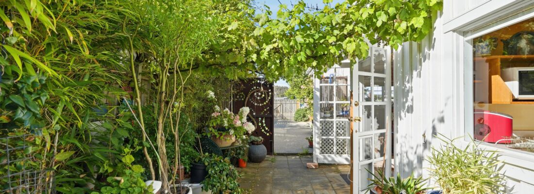 Sam Scarlett Sam Scarlett Fall Real Estate Sam Scarlett