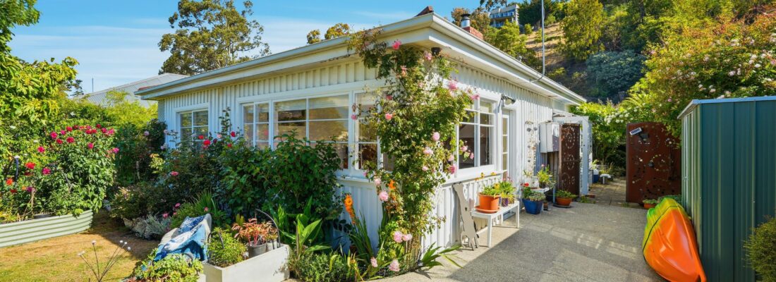 Sam Scarlett Sam Scarlett Fall Real Estate Sam Scarlett