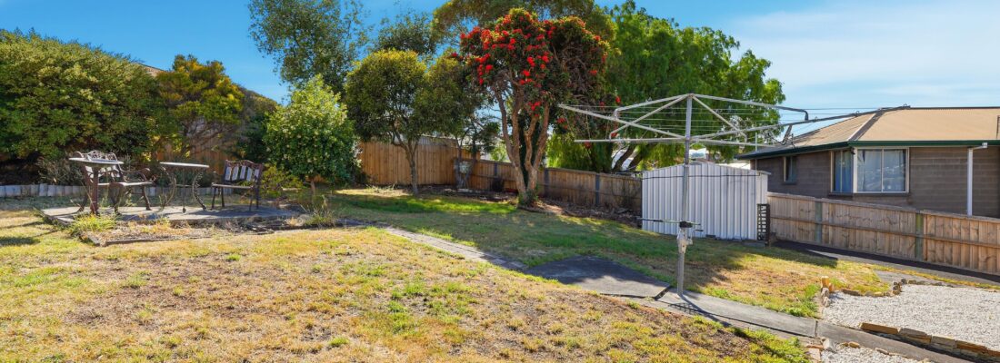 Ariel Dao Ariel Dao Fall Real Estate Ariel Dao