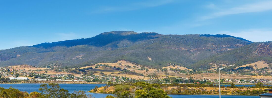 Fall Real Estate Ariel Dao