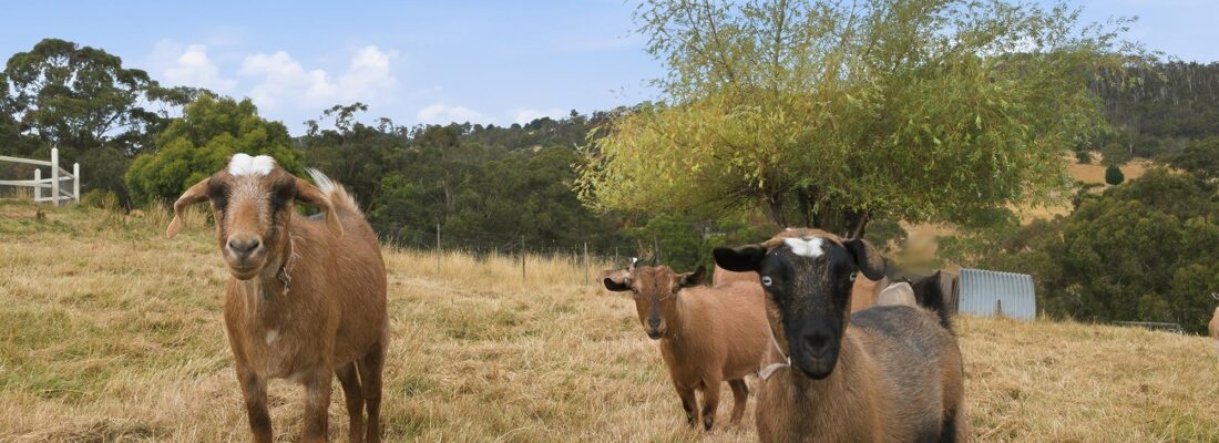 Peter Clark Peter Clark Fall Real Estate Peter Clark