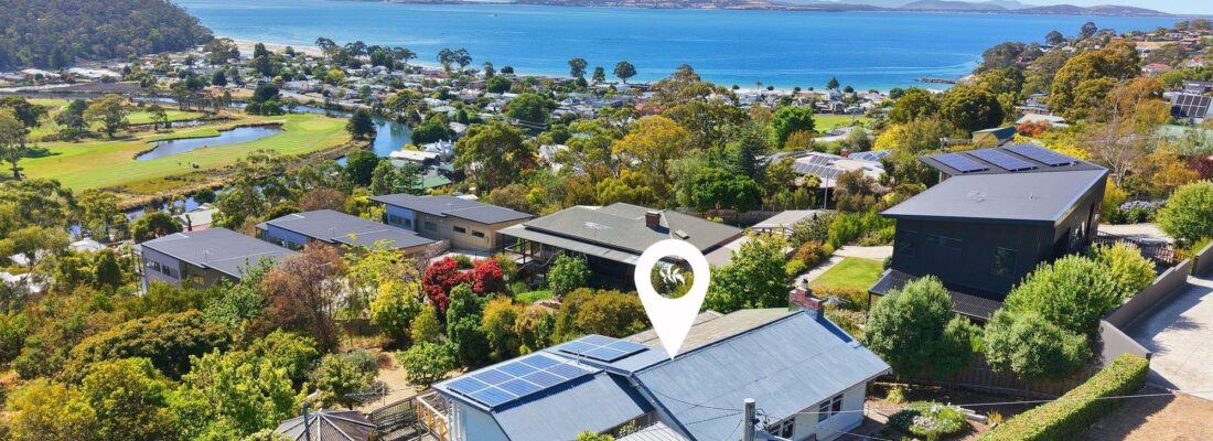 Sam Scarlett Sam Scarlett Fall Real Estate Sam Scarlett