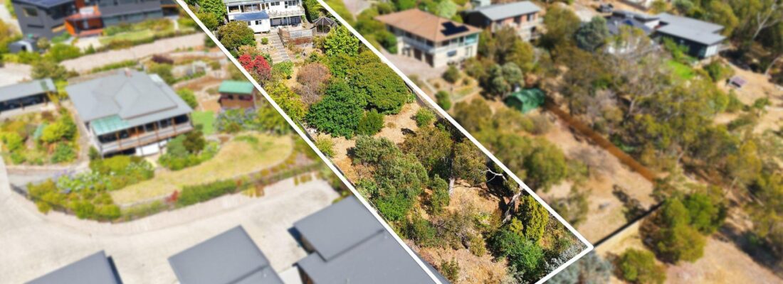 Sam Scarlett Sam Scarlett Fall Real Estate Sam Scarlett