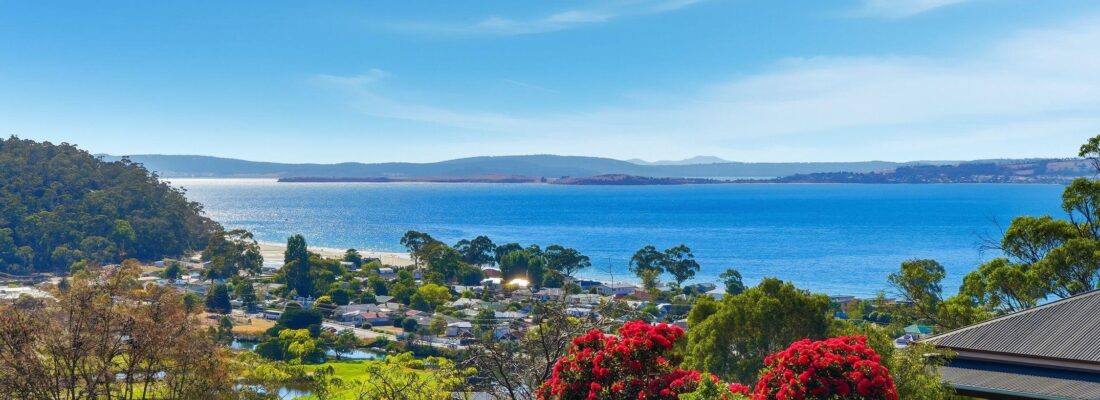 Sam Scarlett Sam Scarlett Fall Real Estate Sam Scarlett