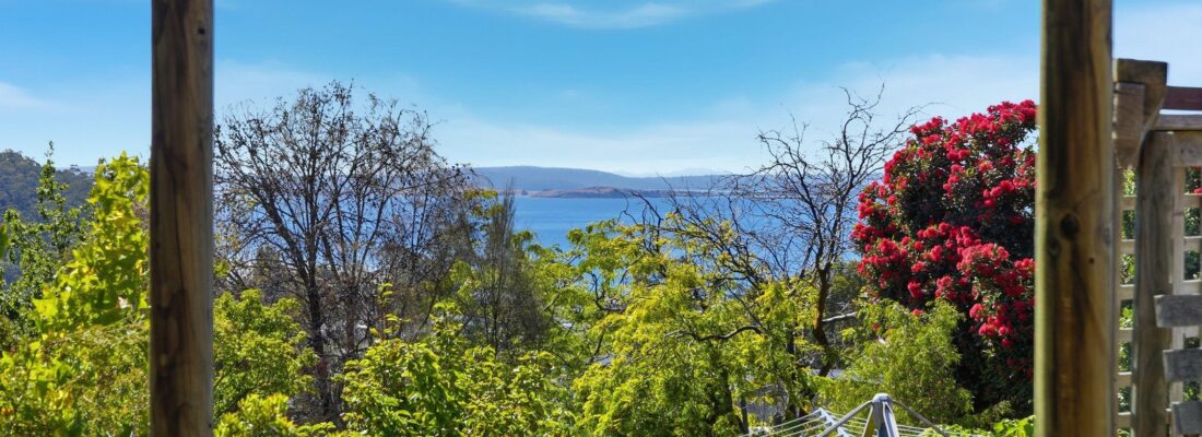 Sam Scarlett Sam Scarlett Fall Real Estate Sam Scarlett