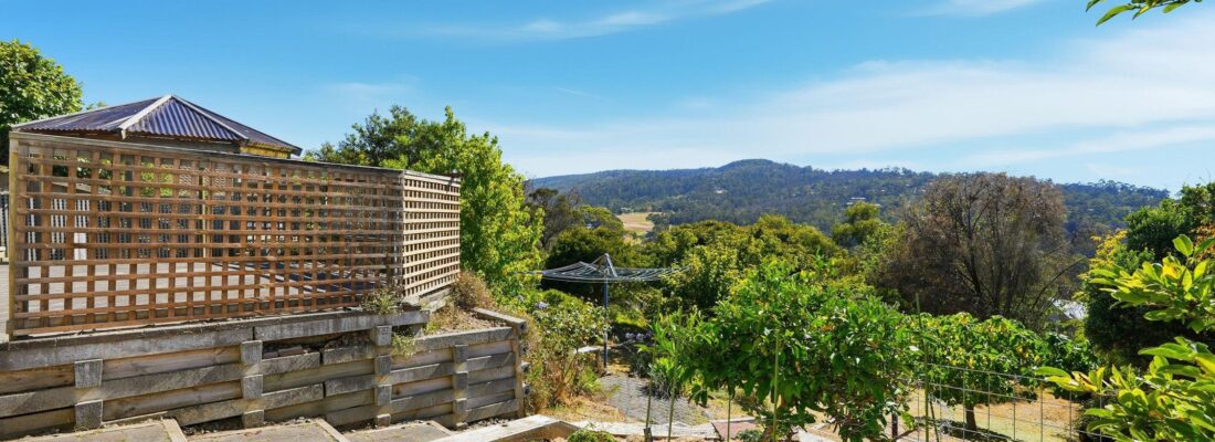 Sam Scarlett Sam Scarlett Fall Real Estate Sam Scarlett