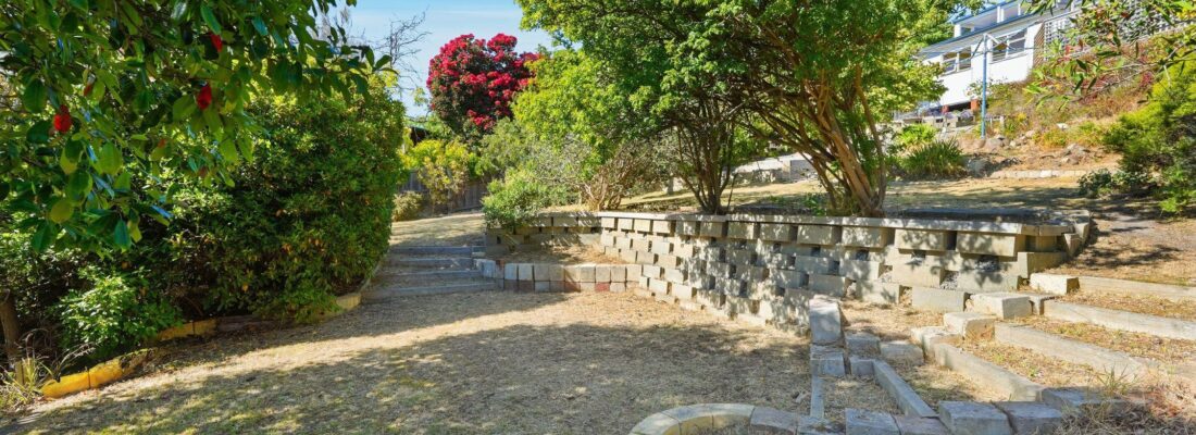 Sam Scarlett Sam Scarlett Fall Real Estate Sam Scarlett