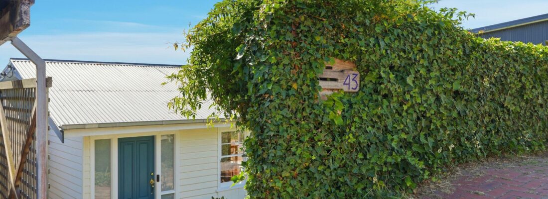 Sam Scarlett Sam Scarlett Fall Real Estate Sam Scarlett