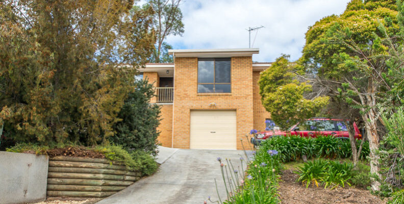 Fall Real Estate Daniela Lee-Archer