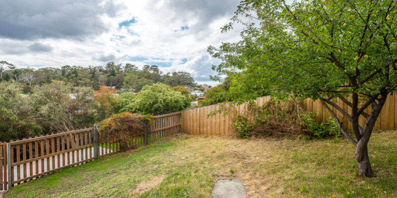 Fall Real Estate Daniela Lee-Archer